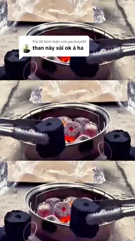 Trả lời @pechoat61 Than gáo dừa nướng BBQ, 1kg từ 8-12 viên, ít khói, lâu tàn đến 3h.  #thangaodua #thannuongthit #thannuongbbq #xuhuong 