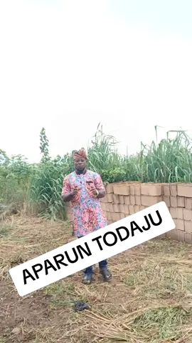 Aparun Todaju