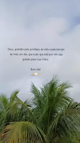 #bomdiaaaaa  #🧡