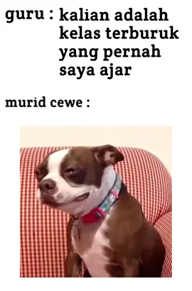 😂 #reletable #memes #fypシ゚viral #fyp #foryou #foryoupage 
