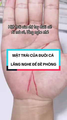Mặt trái của chỉ tay đuôi cá #chỉtay #duoica #foryou #xemboi #tuvi 