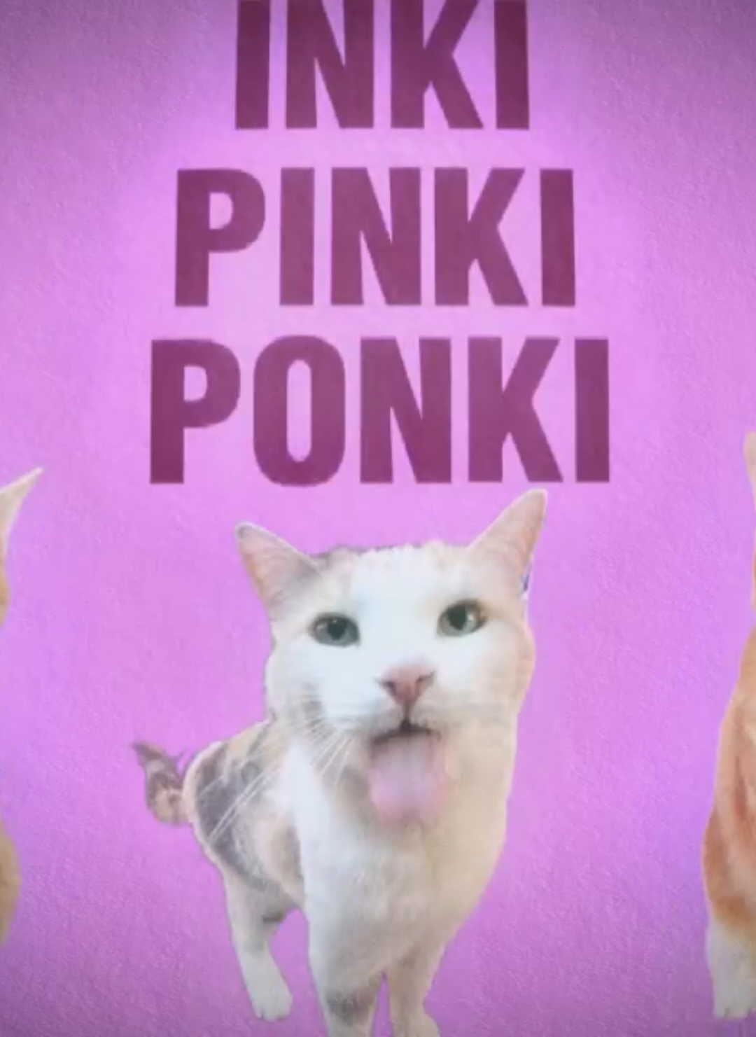 INKI😺 PINKI😼 PONKI😸 .                                                                                              .                                                                                            .                                                                         .                                                                       .                                                                          .  #CapCut #cat #Meme #memes #MemeCut #foryoupage #trending #memetemplate 
