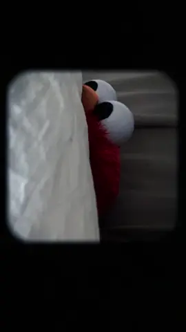 Elmo 🤣🤣🤣 #fyp #fypシ #Elmo #elmocore #unitedstates #TikTok #facts 