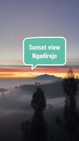 Beautiful sunset view of Ngadirejo Village 🥰😍 near from Bukit Premium #ceritapujifilm #fyp #pasuruan #wisatapasuruan #tutur #NatureEscape #CinematicVibes #bukitpremium #bukitpremiumnongkojajar 