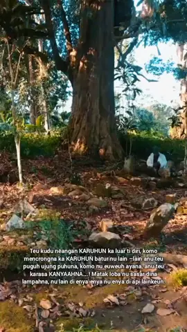 Anu nitis, nétés, notos terah jeung getihna ka Aki jeung ka Nini, ka Indung jeung ka Bapak, tug nepi ka diri urang pisan ayeuna... #refleksi #evaluasi #purwadaksi #kesadaranspiritual 