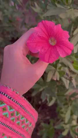 ✨ پھولوں کو دیکھا تو پتہ چلا لوگ اُسے توڑتے ھیں جُو بہترین ھوتا ہے……!!💕🌸✨ #creatorsearchinsights #foryoupage #foryou #fyp #viral #support #cindrellabaloch 