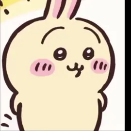 oi zoi oiiii chiu nhum  #usagi #bel #beo #phi #chuppy #cook #adu #Usagi #kk #chiu #lost 
