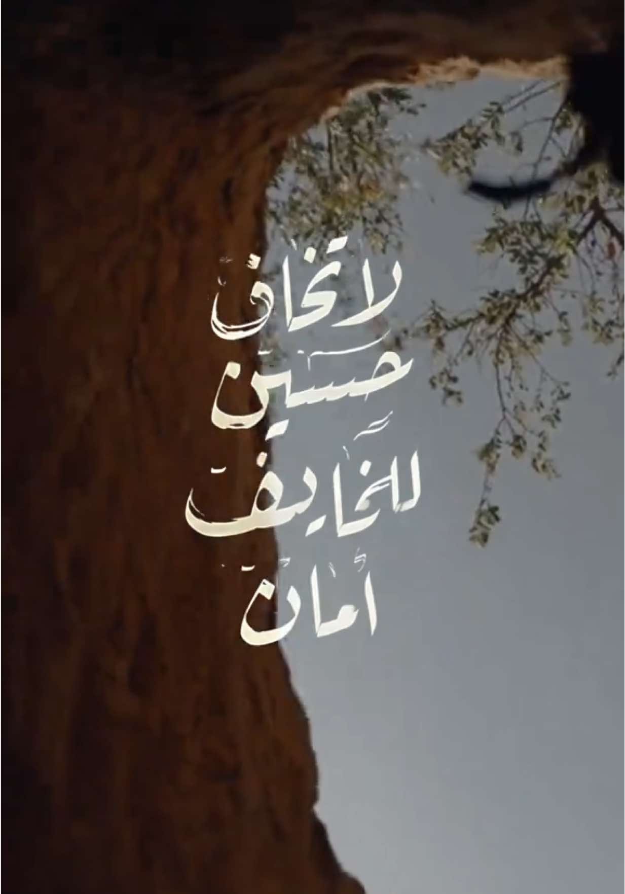 اللهم نسألك حسن الخاتمه 🤲🏼🤍 #العراق #الامام_علي_بن_أبي_طالب_؏💙🔥 #الامام_الحسن_عليه_السلام #الامام_الحسين #جنة_الله_على_الارض #كربلاء #بغداد #النجف 