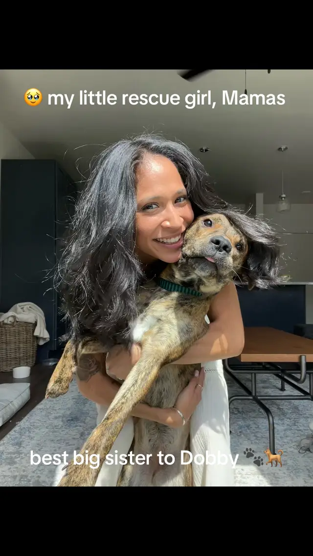 #sunday #dogsoftiktok #rescuedog #fyp 