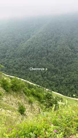 The mountains where freedom fighters fought. #fyp #chechen #chechnya #nature #mountain #borz #kavkaz #khamzatchimaev 