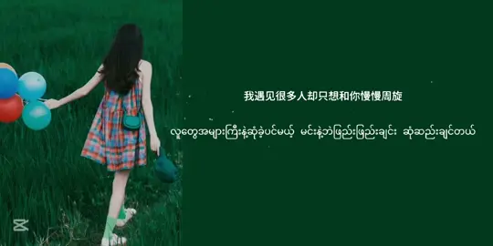 晚風告白♡💚 #晚風告白 #overlaycrd #mmsub #chinesesong #foryou #trend #feelings #fypシ 