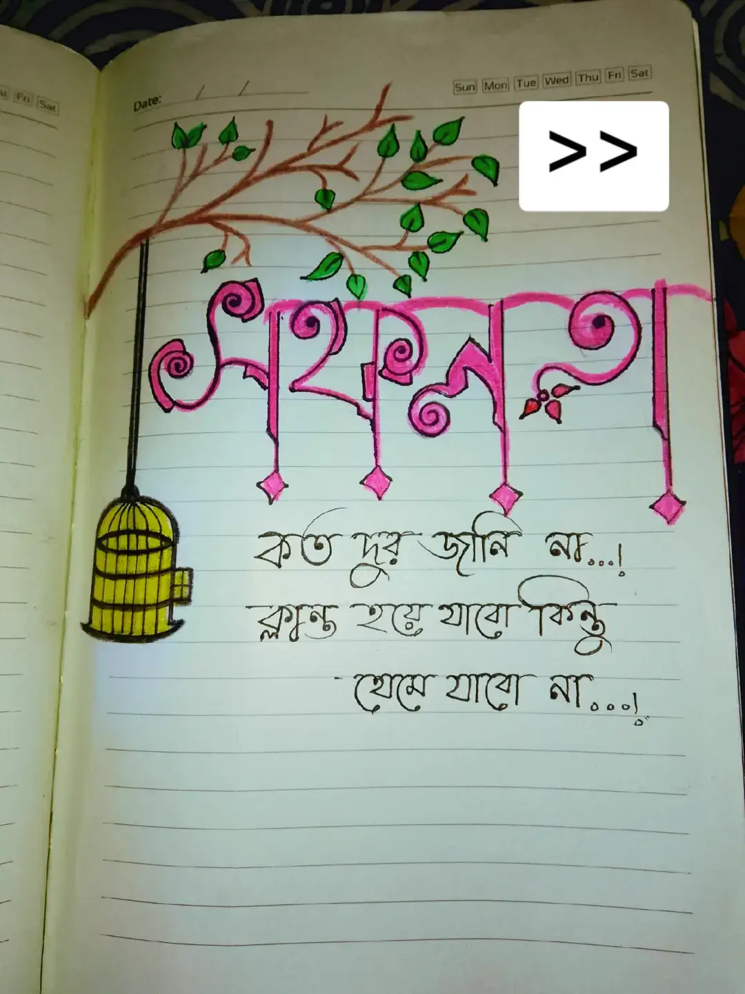 #trending #tiktok #foryoupage #viralvideo 
