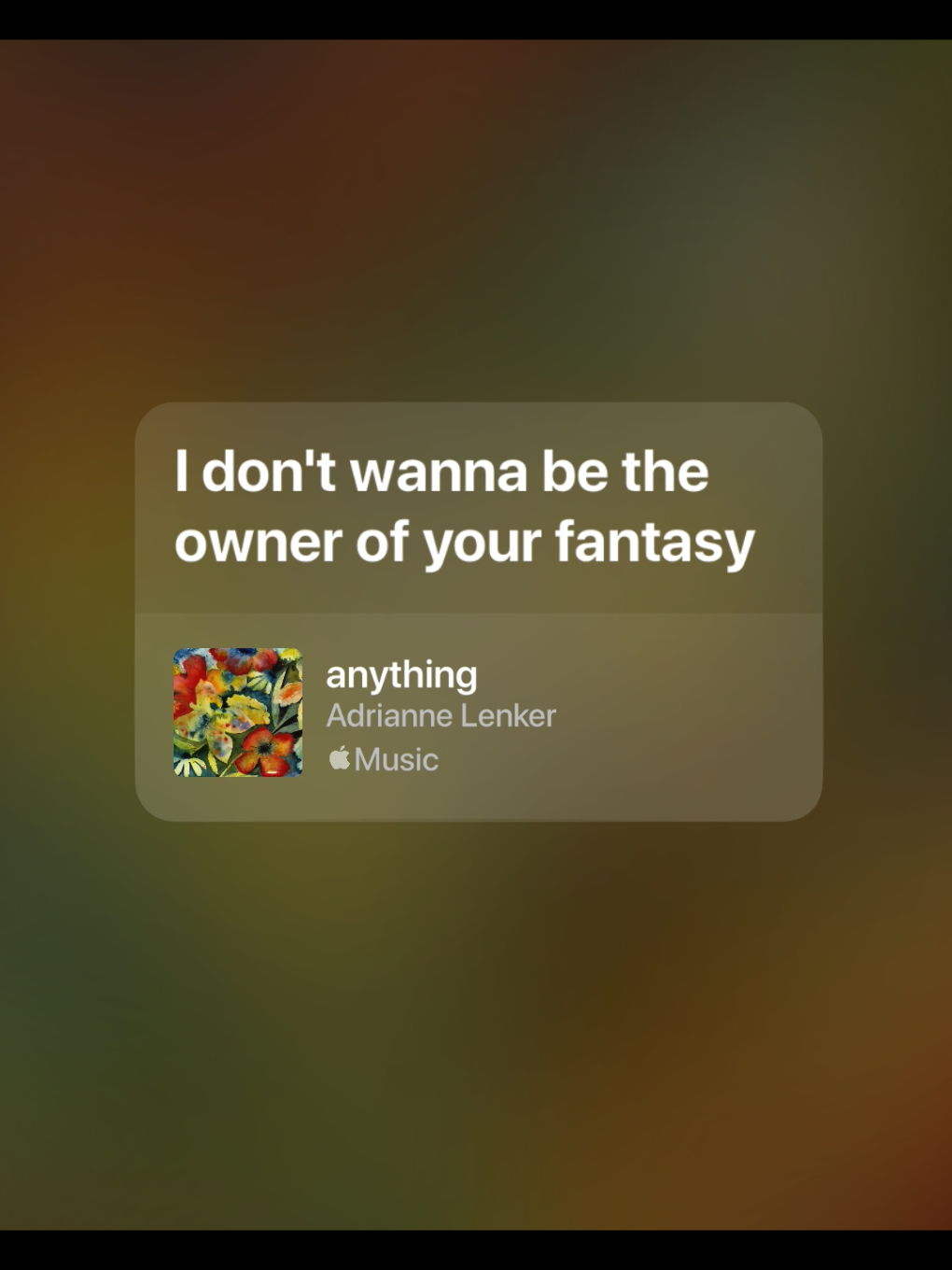 🥹 #anything #adriannelenker #lyrics #liriklagu #spotify #fyp #music 