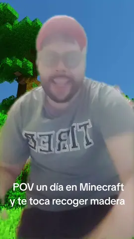 #greenscreen #Minecraft #humor #parati #viral #fyp 