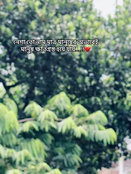 নেশা তো নাম মাত্র মানুষের অভাবেই মানুষ ক্ষতিগ্রস্ত হয়ে যায়...!!💔#foryou #tiktok #bangladesh #bdtiktokofficial #foryoupage #fyp 