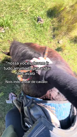 #musica #cavalos🐴 #roça #cowgirls #primas @𝑳una 𝙒 𝑺eop 彡★ 