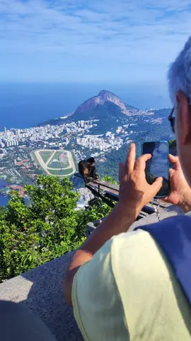 macaco carioca  . . . . . #souraiz #cariocarj #macacoprego #rjpasin 