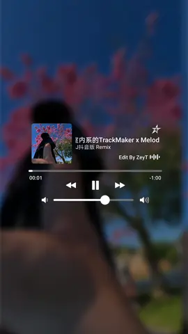 bị mê quả beat này✨#xuhuong #music #lyrics #remix #室内系的trackmaker #melodicminor #zeyt #zeymusic 