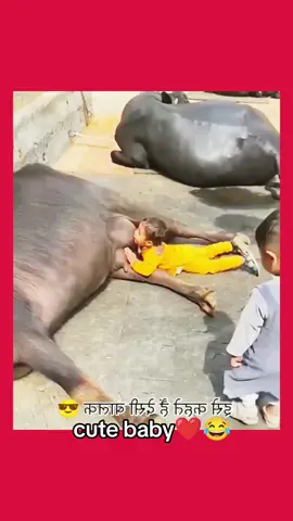 cute baby❤😂#cutebaby #babyvideos #babiesvideo #funnyvideos😂 #usa🇺🇸 #unitedstates #newyork #unfrezzmyaccount #viraltiktok #video 