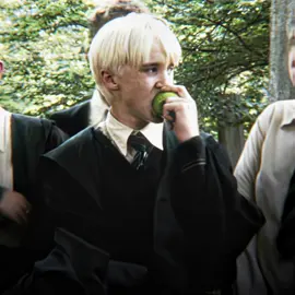 Bro‘s about to be crushed by the task and never forgot to make fun of Harry😈||#tomfeltonedit #tomfelton #dracomalfoy #dracomalfoyedit #dracotok #harrypotter #aftereffects #cynthia21 #slytherin #foryou ||Tom Felton Draco Malfoy After effects 4k edit