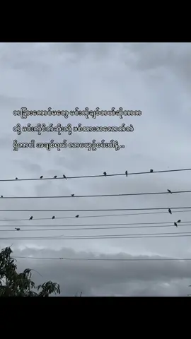 နားလည်စမ်းပါ#nwayy02 #foryou 