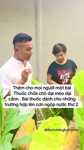 Thuoc chó dại mèo dại .  Mọi người tranh cãi quá nhiều ở video trước. Vậy hôm nay m sẽ làm thêm 1 loại cây khác cùng công dụng nhé ak #dại #thuocnamchauhaianh #vietnam 