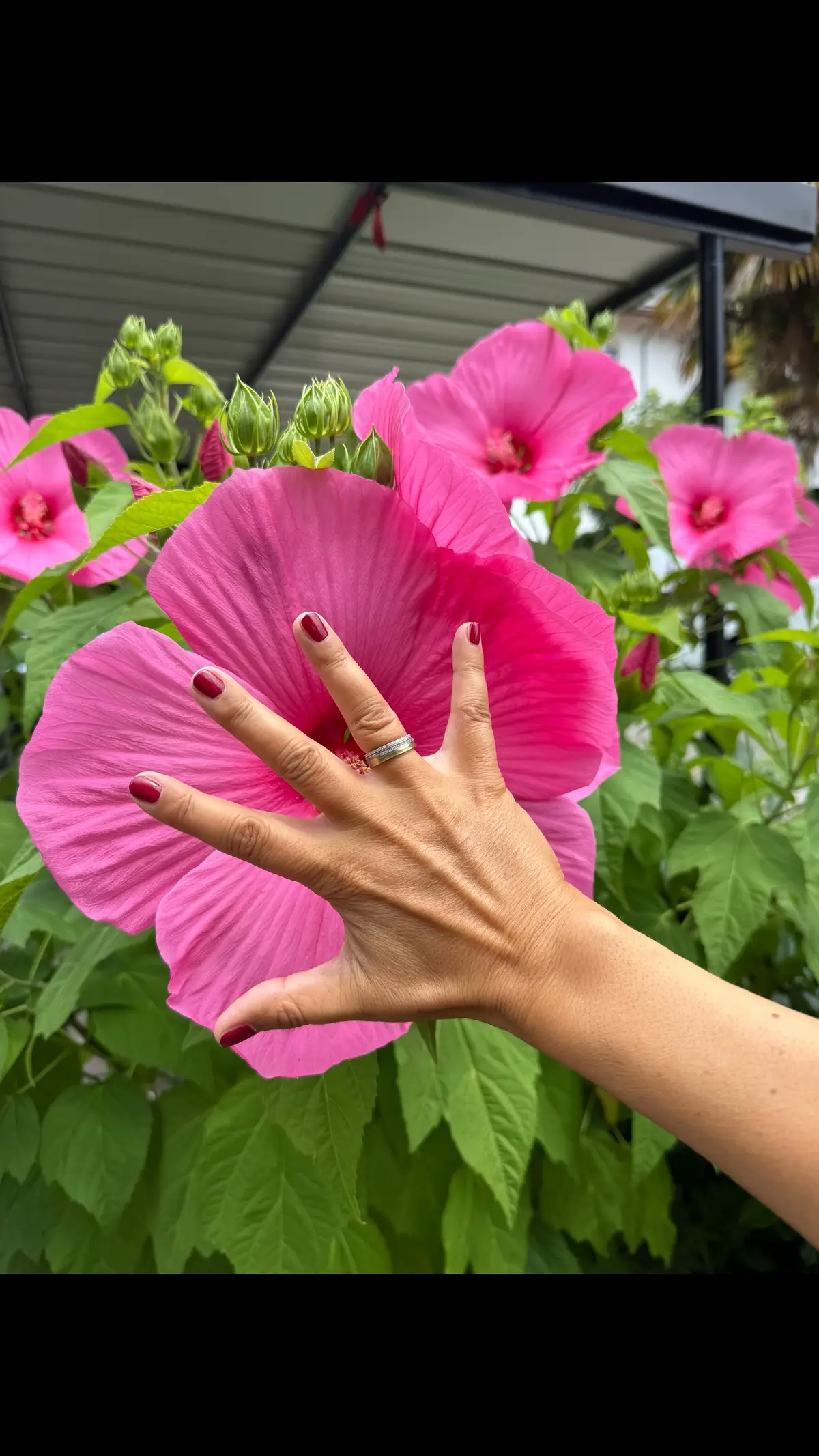 #tiktok #foryoupage #fyp #foryou #viral #Love#funny #memes #followme #cute #fun #music #happy #fashion #follow #comedy #bestvideo #tiktok4fun #loveyoutiktok #thisis4u #viral #reels #shorts #flower #flowers #italy 