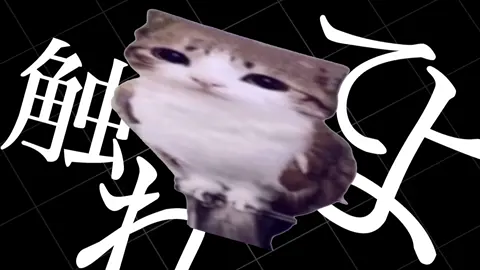 abnormality dancing meowl #cat #owl #meowl #fyp #fypシ #fypage #foryou #viral #alightmotion #edit #animation #vocaloid #guchiry 