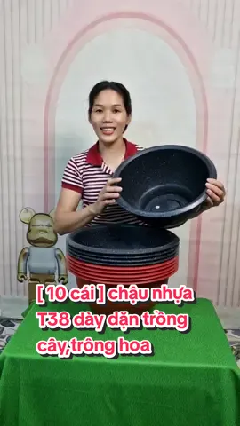 [ 10 cái ] chậu nhựa T38 dày dặn trồng cây,tròng hoa #tiktokshop #duongdungshop2 #chaunhua #trongcay #xuhuong 