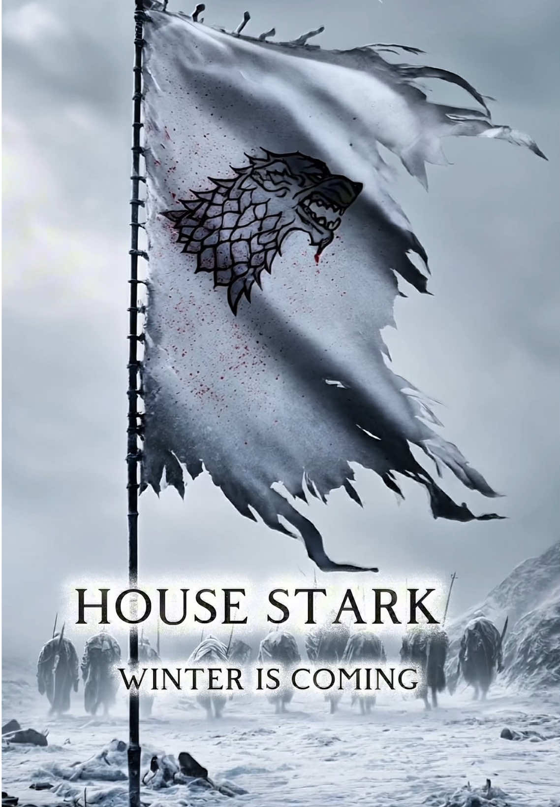 “They forget We remember Always“  HOUSE STARK-Winter is Coming  #gameofthrones #housestark #fyp #westeros #fantasy #gotfans #winteriscomming 