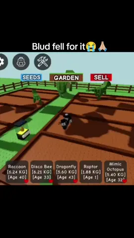 blud fell for it🥀🙏🏼#growagarden🥒🌶🍅 #meme #roblox #fyp #viral 