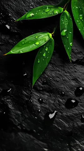 Natural water live wallpaper #livewallpaper #4kwallpaper #wallpaper #wallpaperlive #nature #beauty #water #naturewallpaper #livewallpaper #fyp 