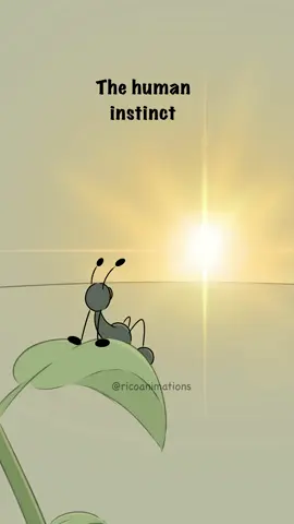 The Human Instinct 😂😂 #fyp #ricoanimations #viral #bugs #trending #men 