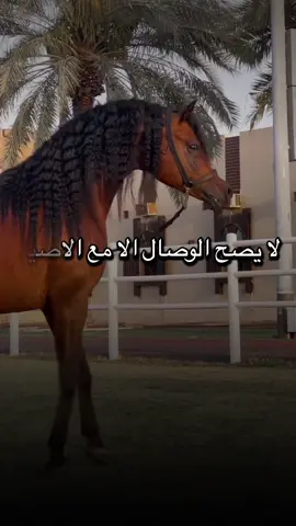 #أكسبلور_شعر_حكم_خواطر 