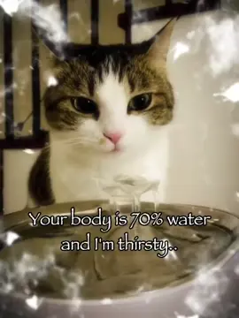 I’m thirsty.. 😛 #rizz #catsoftiktok #fyp 