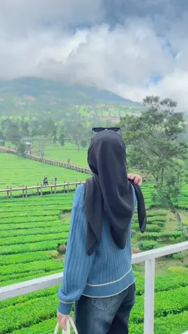 lagi kabutt tapi tetep cantikk😍✨#wonosobo24jam#kebuntehtambi 