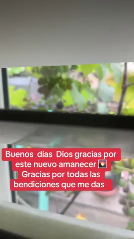 #fyp #viral #te amo mi bello Jesús 