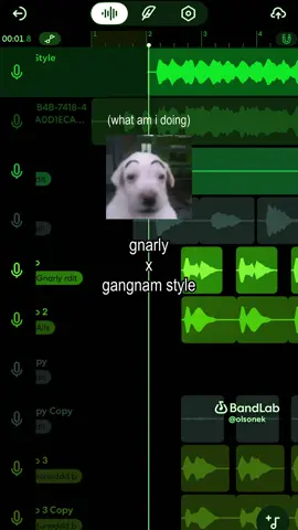 literally what am i doing… ib @Aidan.mp3 💚 #gnarly #gangnamstyle #mashup #remix #mix #bandlab #cover #kpop #katseye #psy #meme #kpopcover #kca 