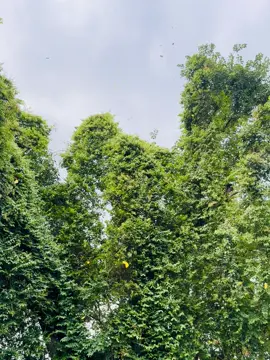 View 🖼️#weather #fyp #foryou #viral #foryoupage #tikttokbangladesh🇧🇩 #tiktokoffical 