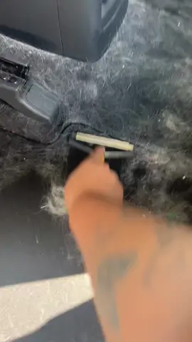 LMAOOO at the song TikTok chose for this video. BUT OMFG. I LOVE this tool!!! You can also find it on my Amazon shop in my linktree! #tiktokshop #amazonfinds #pethairremoval 