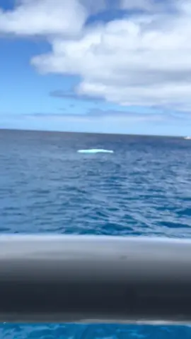 A submarine emerging out of the water.