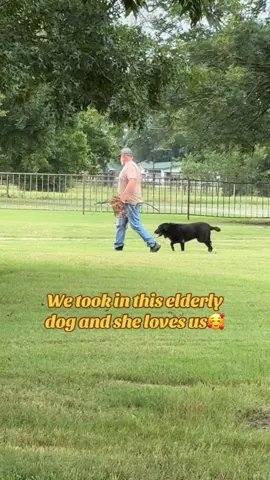 #dog #dogsoftiktok #elderly #countrylife #fyp 