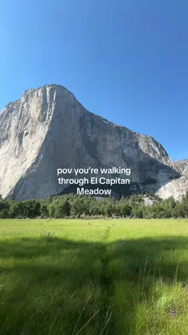 summer walks through the meadows >> #travel #fyp 