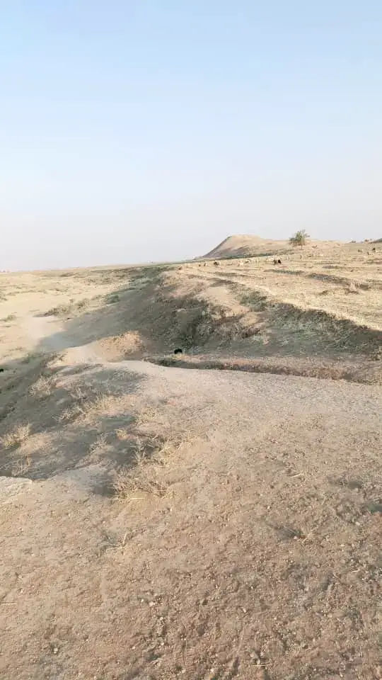 #الشدادي 