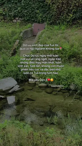 “Mãi yêu zợ💐🥰” #suyymottchut #viral #fyp 