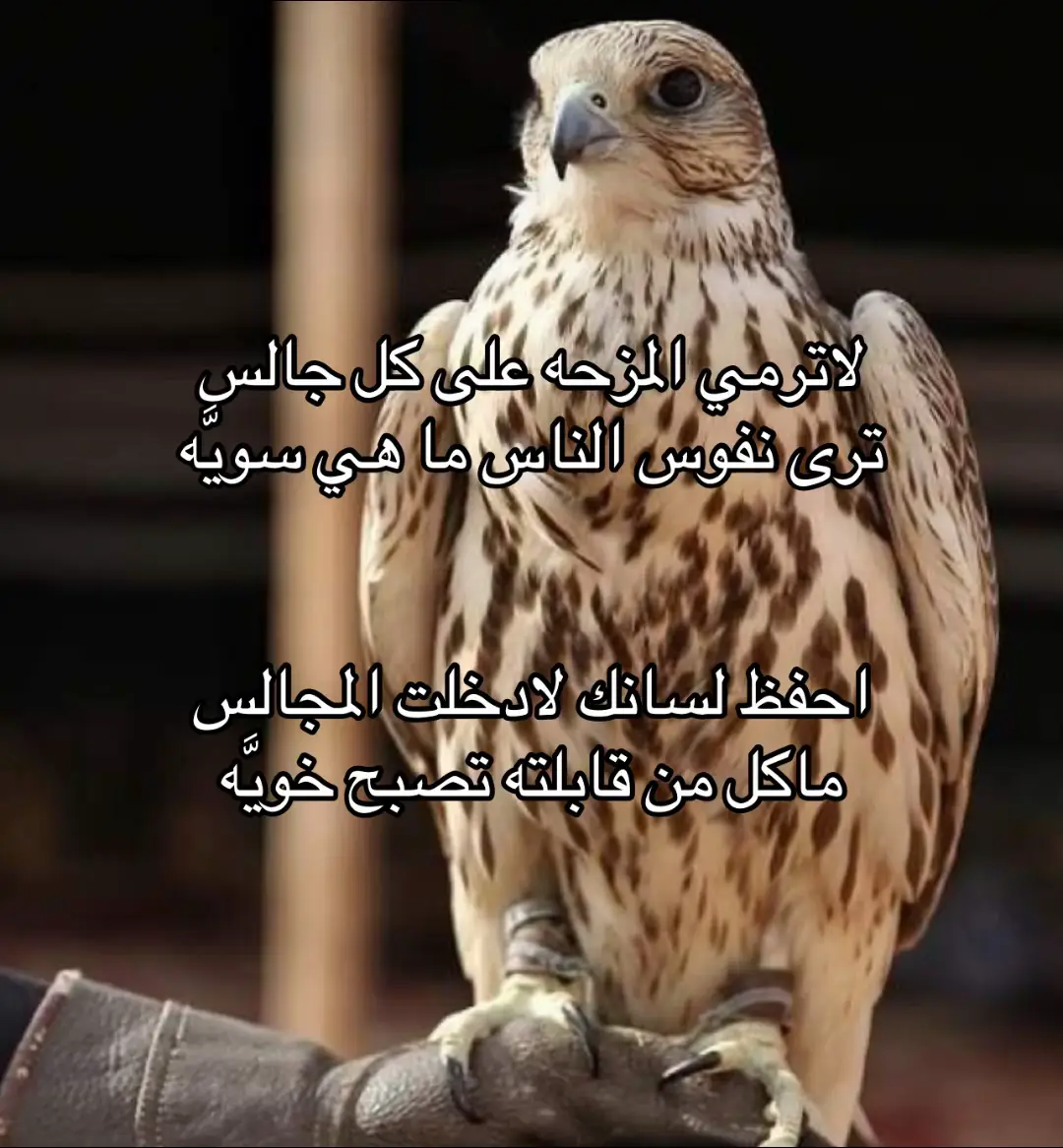 #fyp #اكسبلوررر #explore #fyyyyyyyyyyyyyyyy #اكسبلورexplore #الحربي 