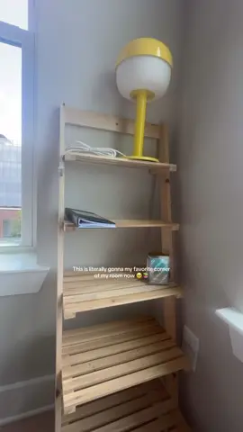 My favorite!!!! #apartment #decor #college #apartmenttour #apartmentdecor #shelf #women #livingroomdecor #apartmenttour #homefinds #sale #ttshop #deals #musthaves #apartmentliving #house #homegoods 