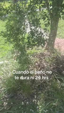 Polqueeee 😩🤣