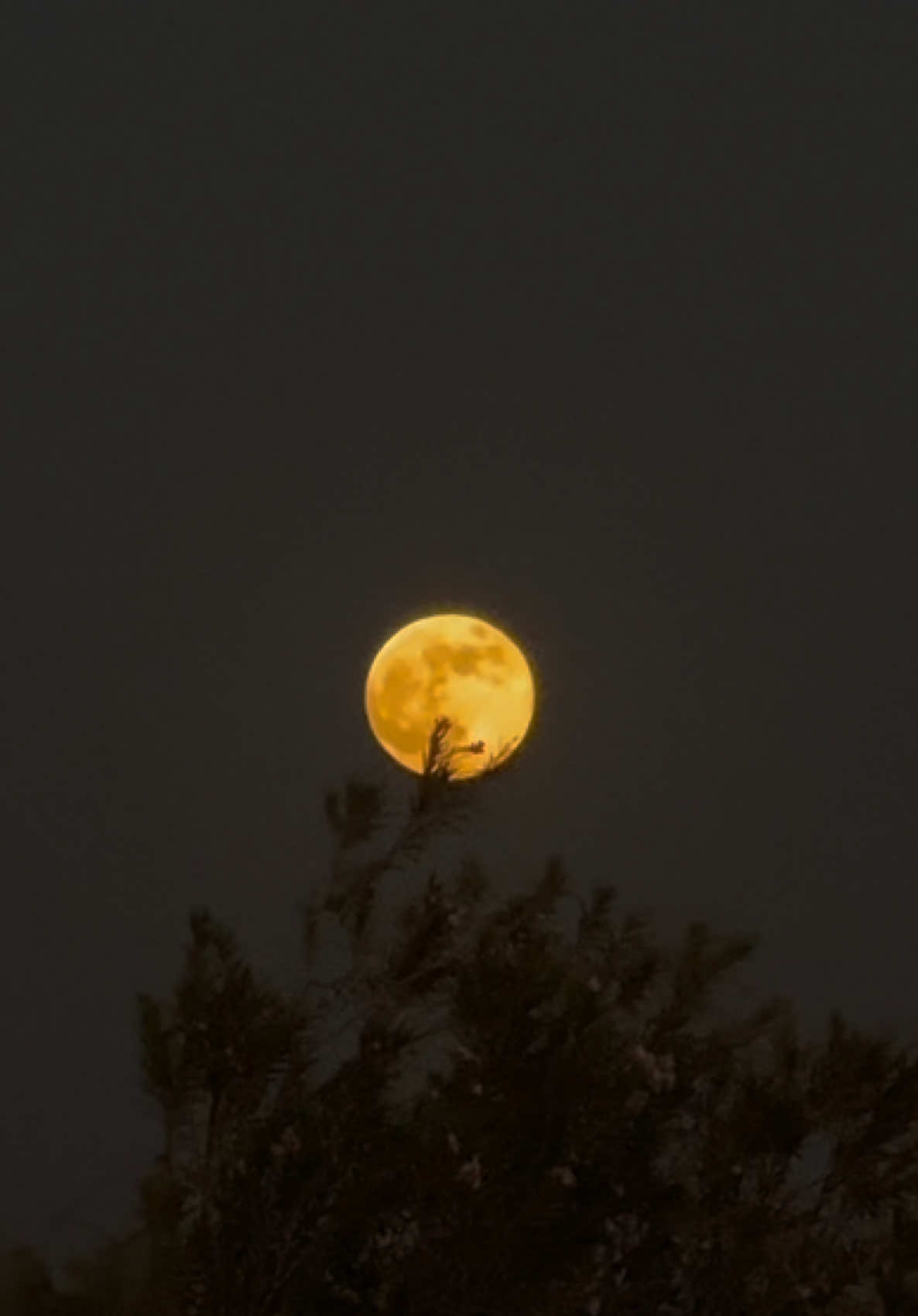 It reminds me of you 🌕                                             #fyp #fullmoon 