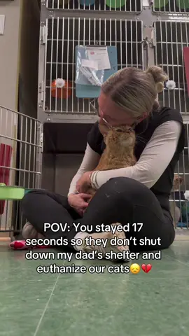 Kind comment would be greatly appreciated #cats #shelter #animal 